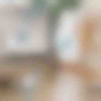 Električna vrtljiva krtača za čiščenje | ROTOBRUSH