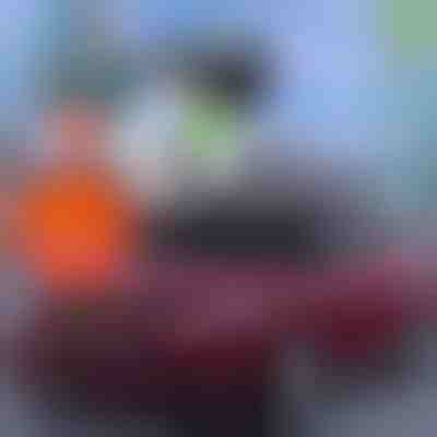 Kupite 1, dobite 1 BREZPLAČNO – To poletje naj bo vaš avto hladen | CARCOVER