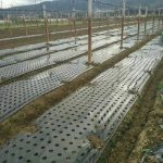VEGUARD13500__3862225e-1